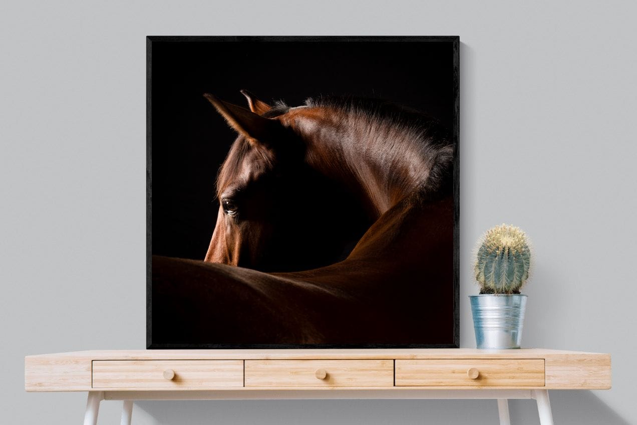 Bronze Mare-Wall_Art-100 x 100cm-Mounted Canvas-Black-Pixalot