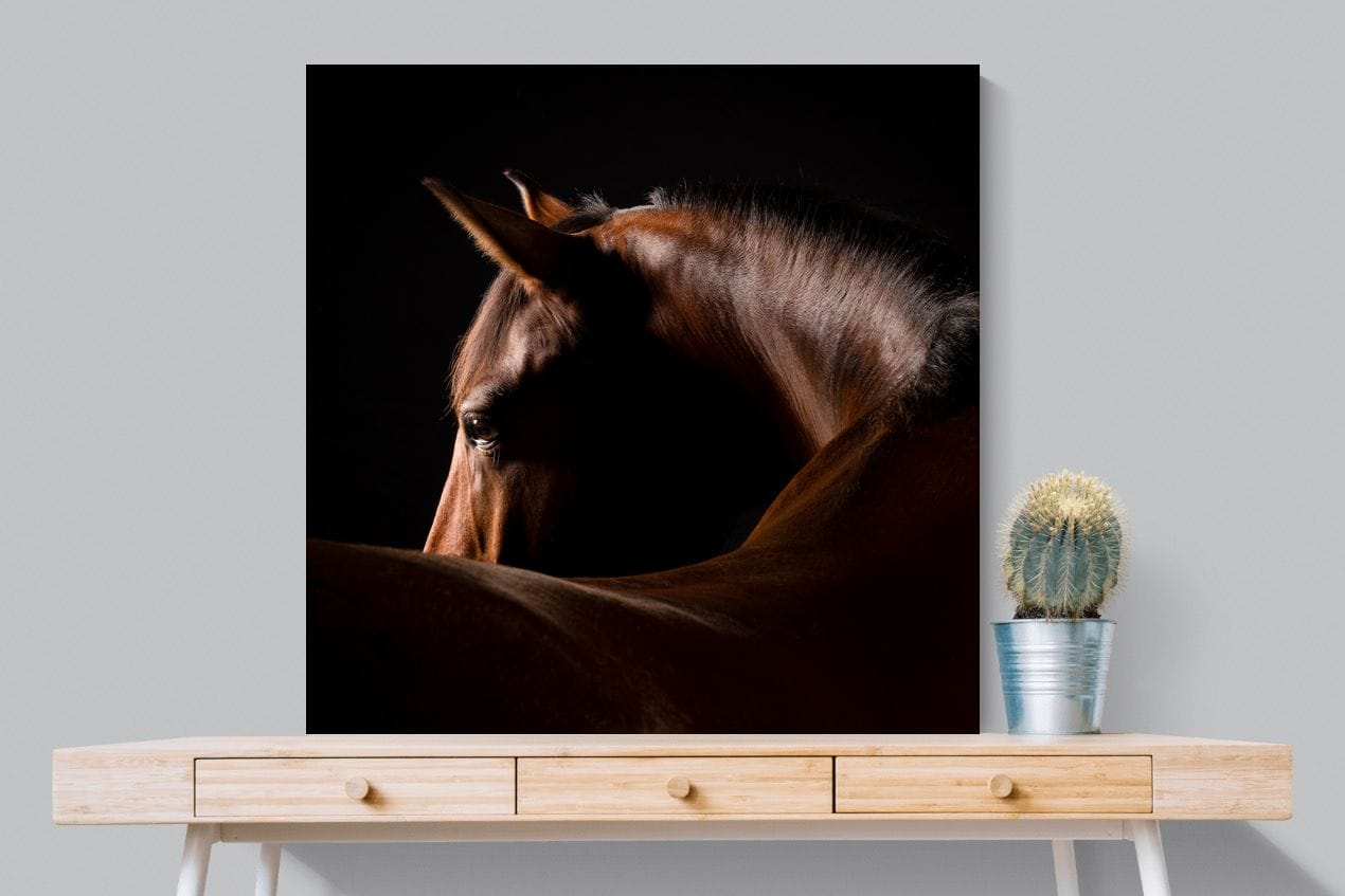 Bronze Mare-Wall_Art-100 x 100cm-Mounted Canvas-No Frame-Pixalot