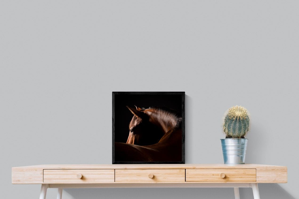 Bronze Mare-Wall_Art-50 x 50cm-Mounted Canvas-Black-Pixalot