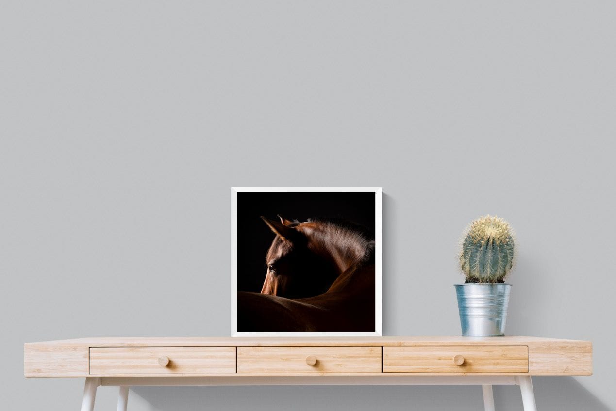 Bronze Mare-Wall_Art-50 x 50cm-Mounted Canvas-White-Pixalot