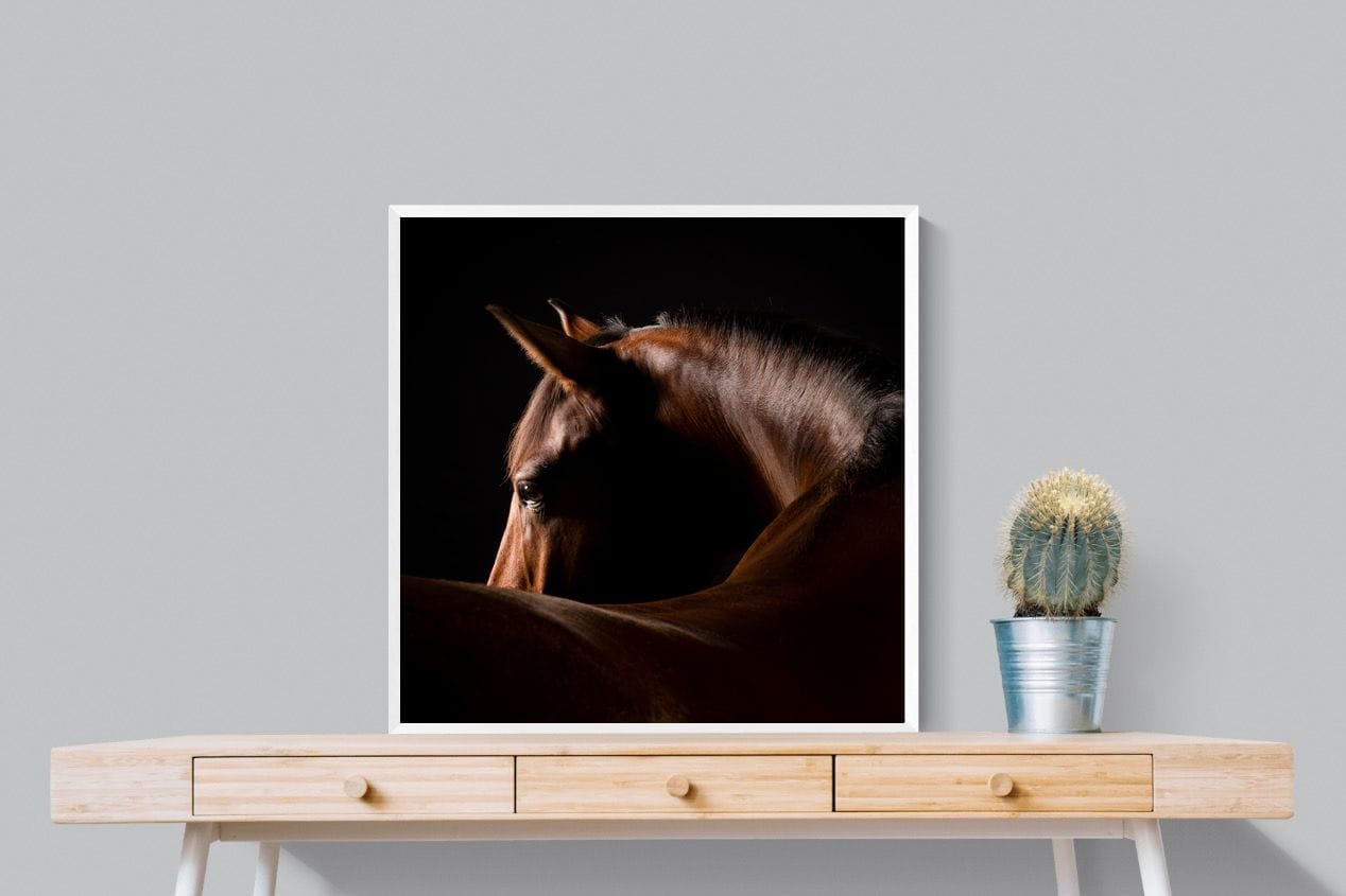 Bronze Mare-Wall_Art-80 x 80cm-Mounted Canvas-White-Pixalot