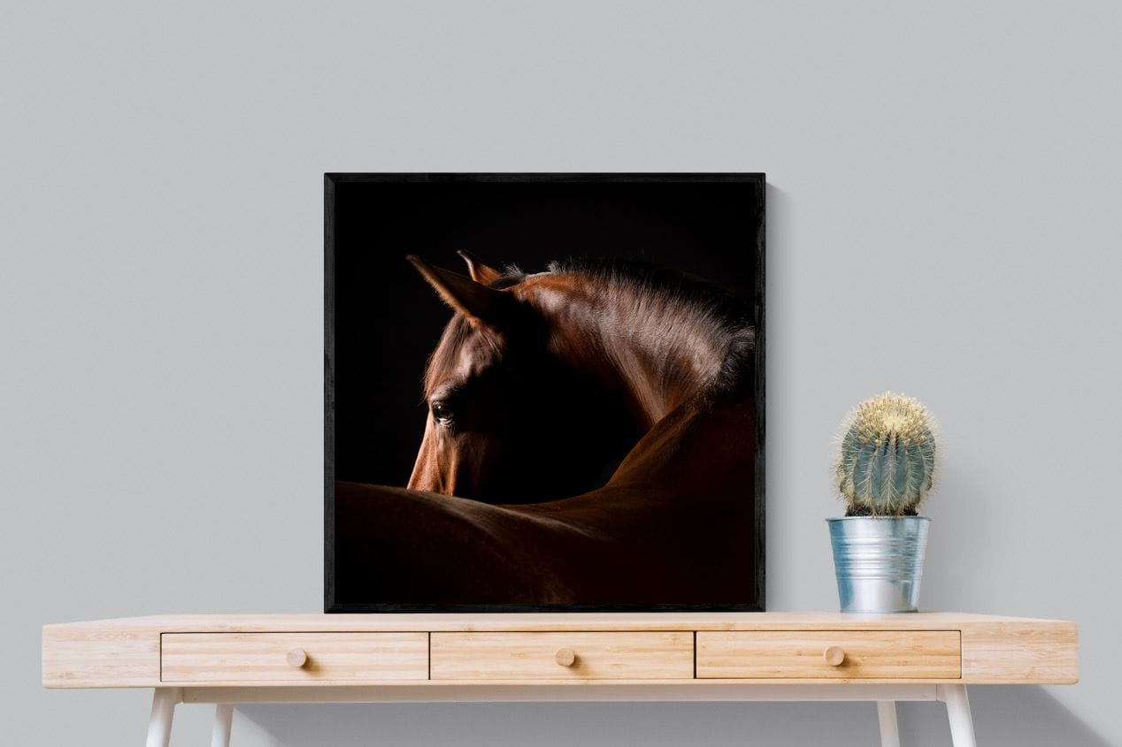 Bronze Mare-Wall_Art-80 x 80cm-Mounted Canvas-Black-Pixalot