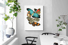 Pixalot Butterfly Collage #1