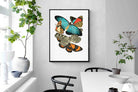 Pixalot Butterfly Collage #1