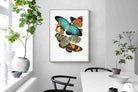 Pixalot Butterfly Collage #1