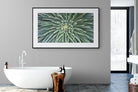 Cactus-Wall_Art-180 x 110cm-Framed Print-Black-Pixalot