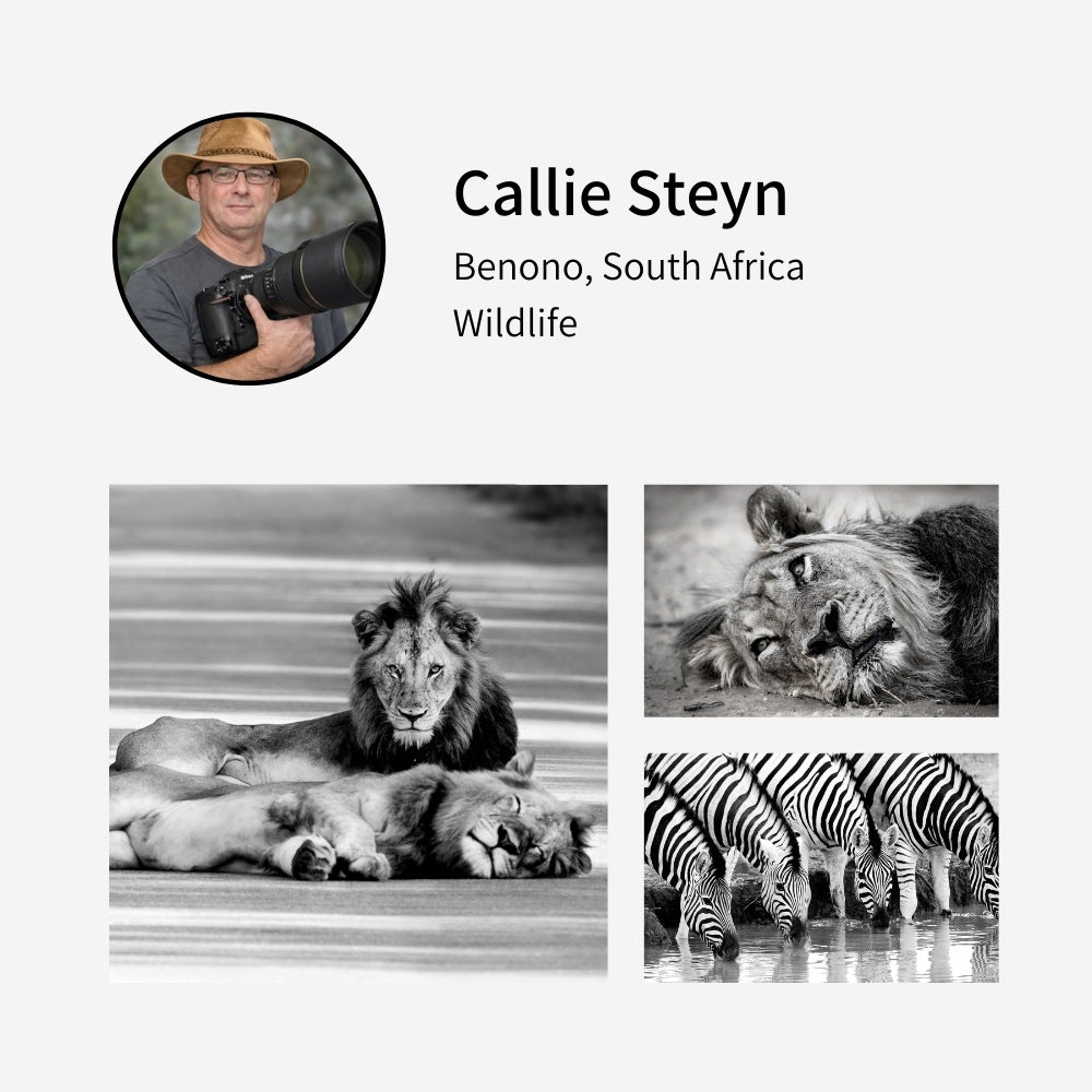 Callie Steyn Photography at Pixalot