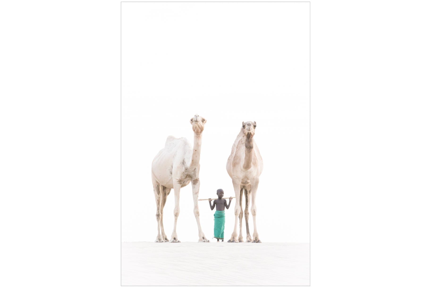 Camel Kid-Wall_Art-Pixalot