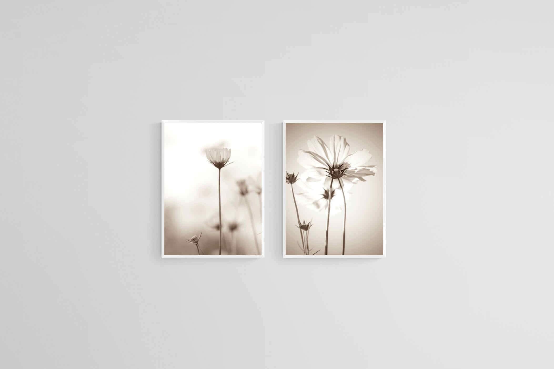 Cosmos Set-Wall_Art-45 x 60cm (x2)-Mounted Canvas-White-Pixalot