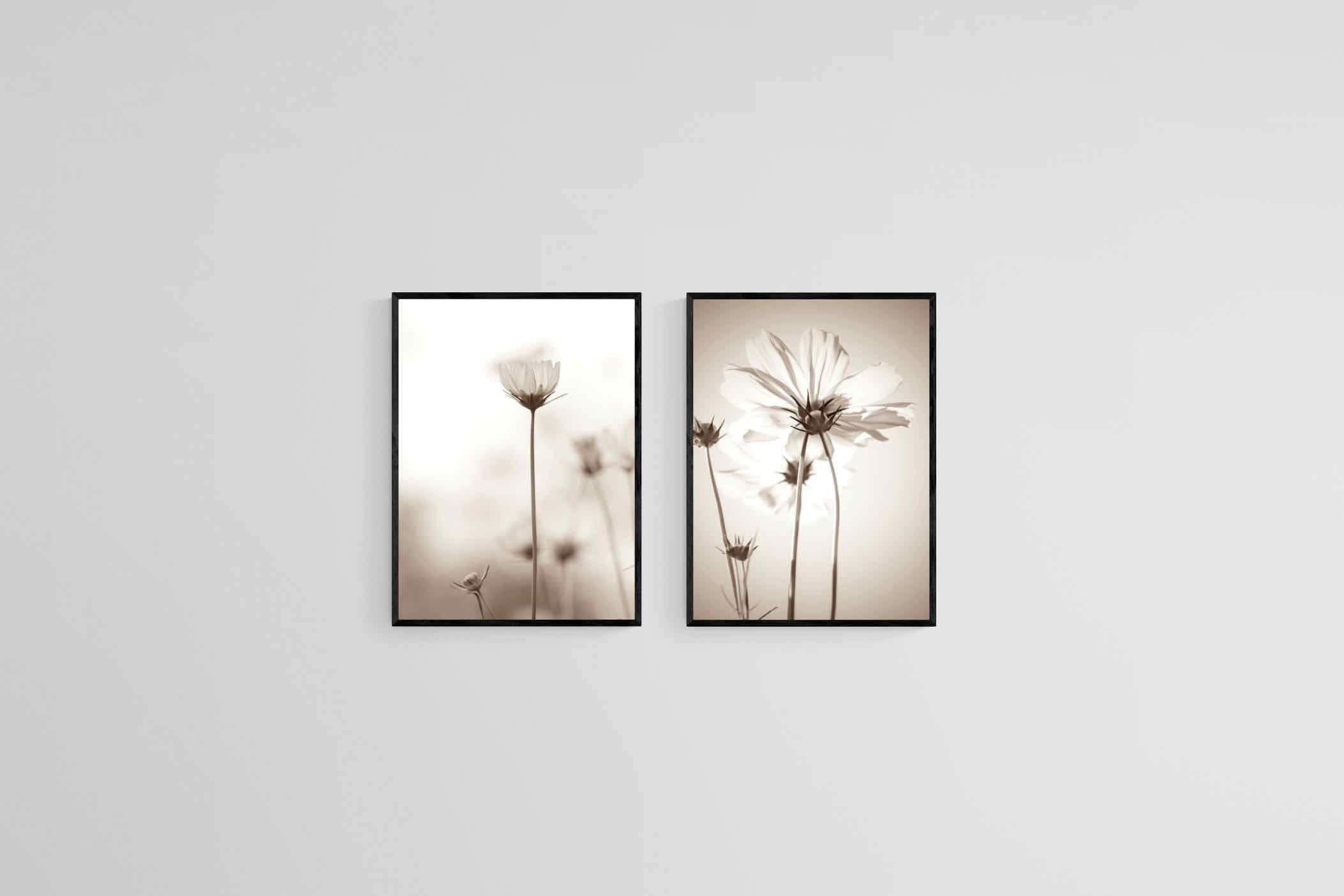 Cosmos Set-Wall_Art-45 x 60cm (x2)-Mounted Canvas-Black-Pixalot