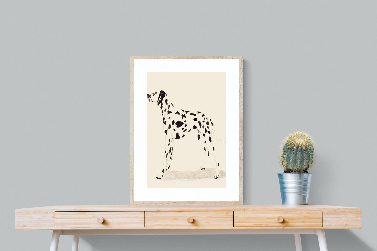 Pixalot Dalmation