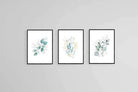 Delicate Blue Set-Wall_Art-45 x 60cm (x3)-Mounted Canvas-Black-Pixalot