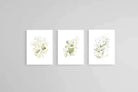 Delicate Green Set-Wall_Art-60 x 80cm (x3)-Mounted Canvas-No Frame-Pixalot