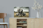 Pixalot Elephant Family Union