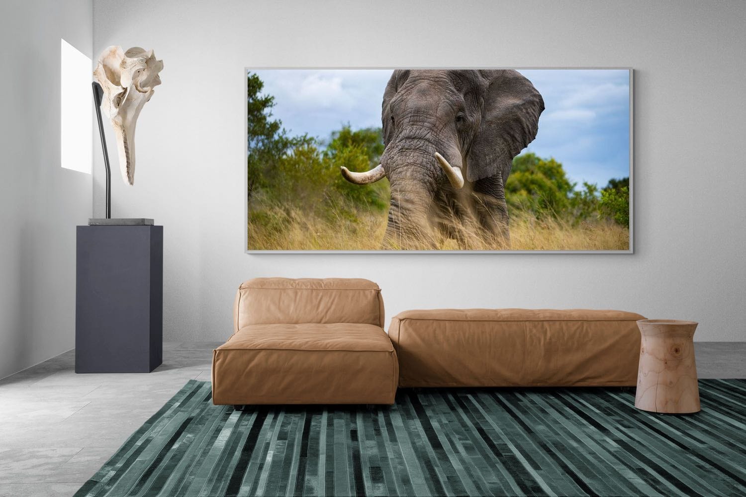 Emerge-Wall_Art-275 x 130cm-Mounted Canvas-White-Pixalot