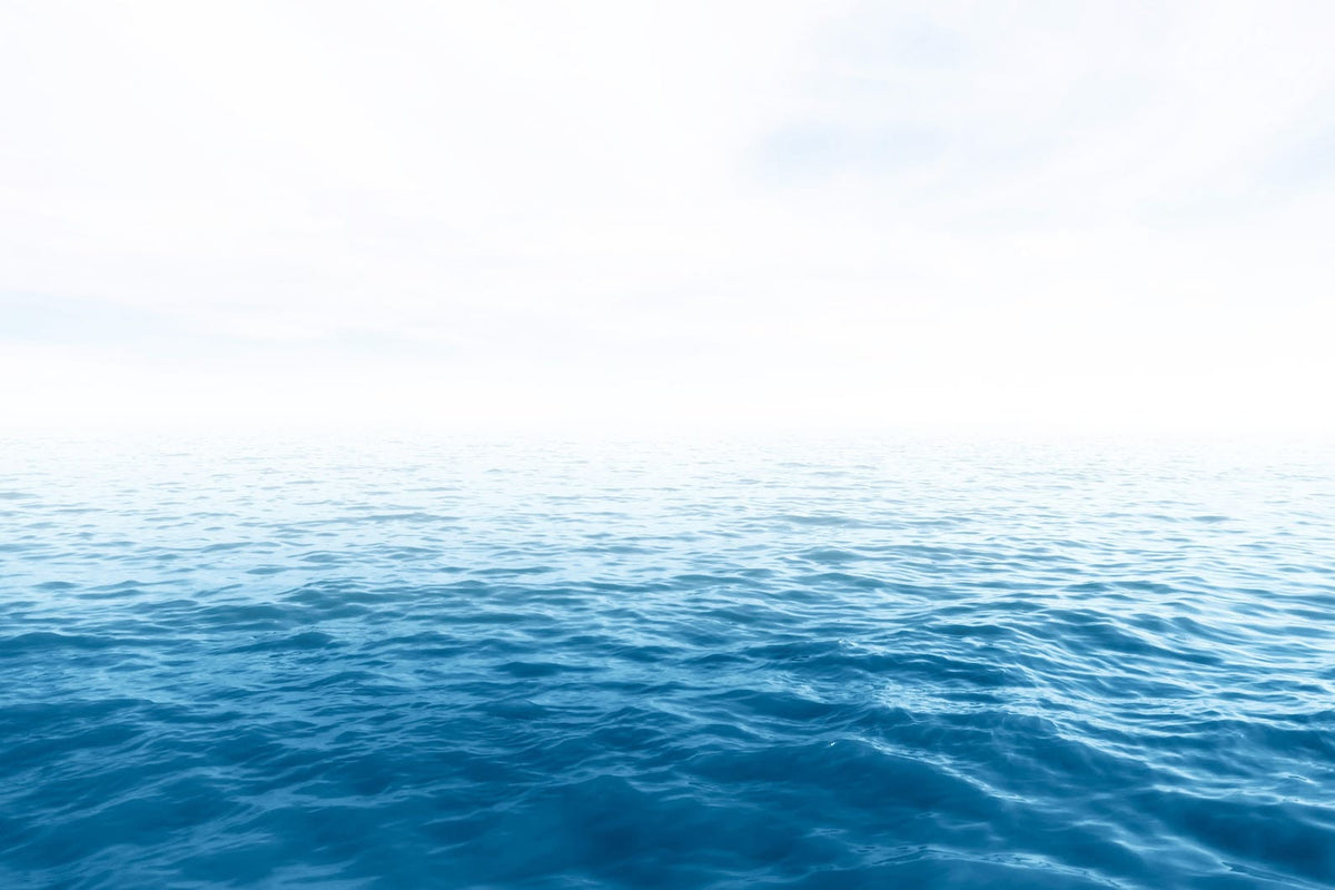 Endless Ocean Wall Art | Canvas & Framed Prints – Pixalot