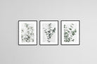 Eucalyptus Set-Wall_Art-45 x 60cm (x3)-Framed Print-Black-Pixalot