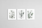 Eucalyptus Set-Wall_Art-45 x 60cm (x3)-Framed Print-White-Pixalot
