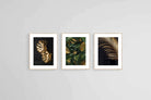 Gold Leaf Set-Wall_Art-45 x 60cm (x3)-Framed Print-Wood-Pixalot