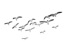 Grace on The Breeze-Wall_Art-Pixalot