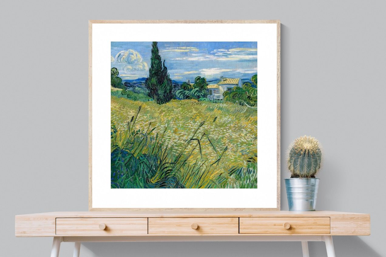 Pixalot Green Wheat Field with Cypress