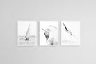 High Key Set-Wall_Art-45 x 60cm (x3)-Mounted Canvas-White-Pixalot