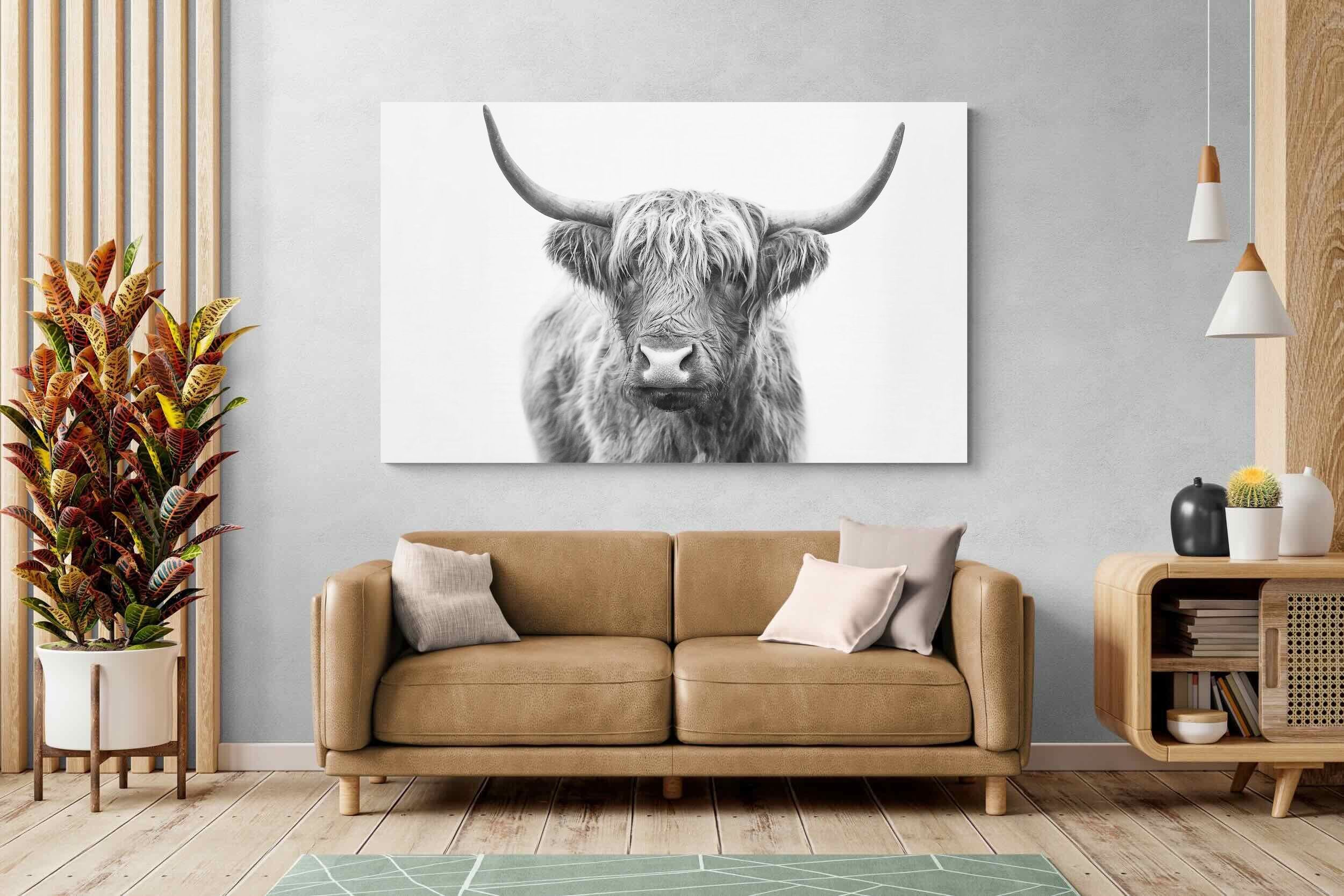 Pixalot Highland Bull