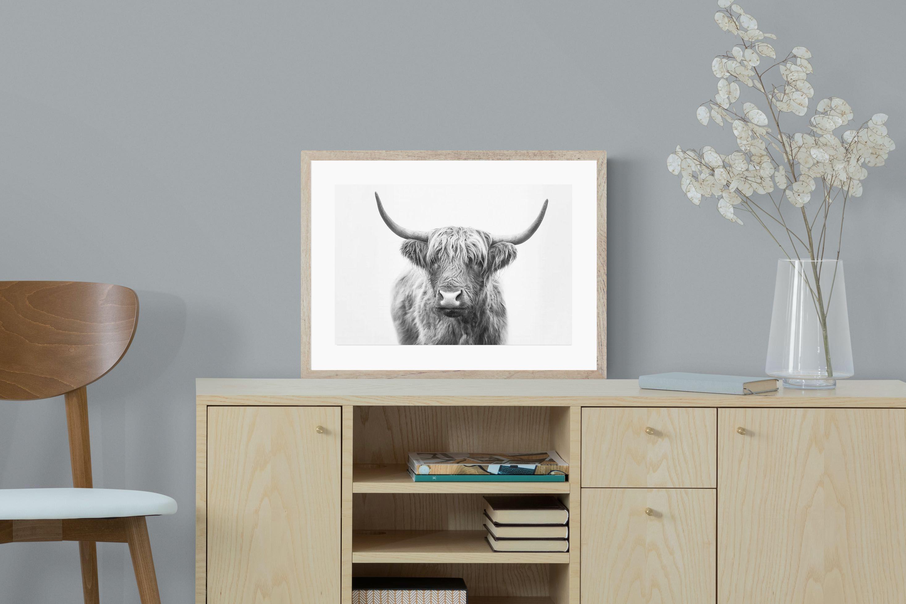 Pixalot Highland Bull