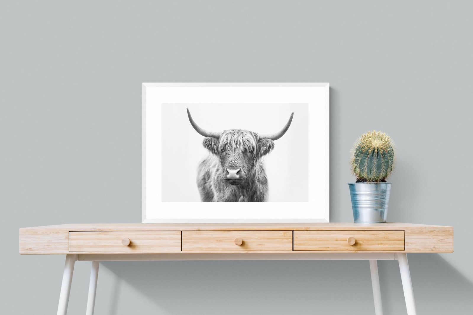 Pixalot Highland Bull