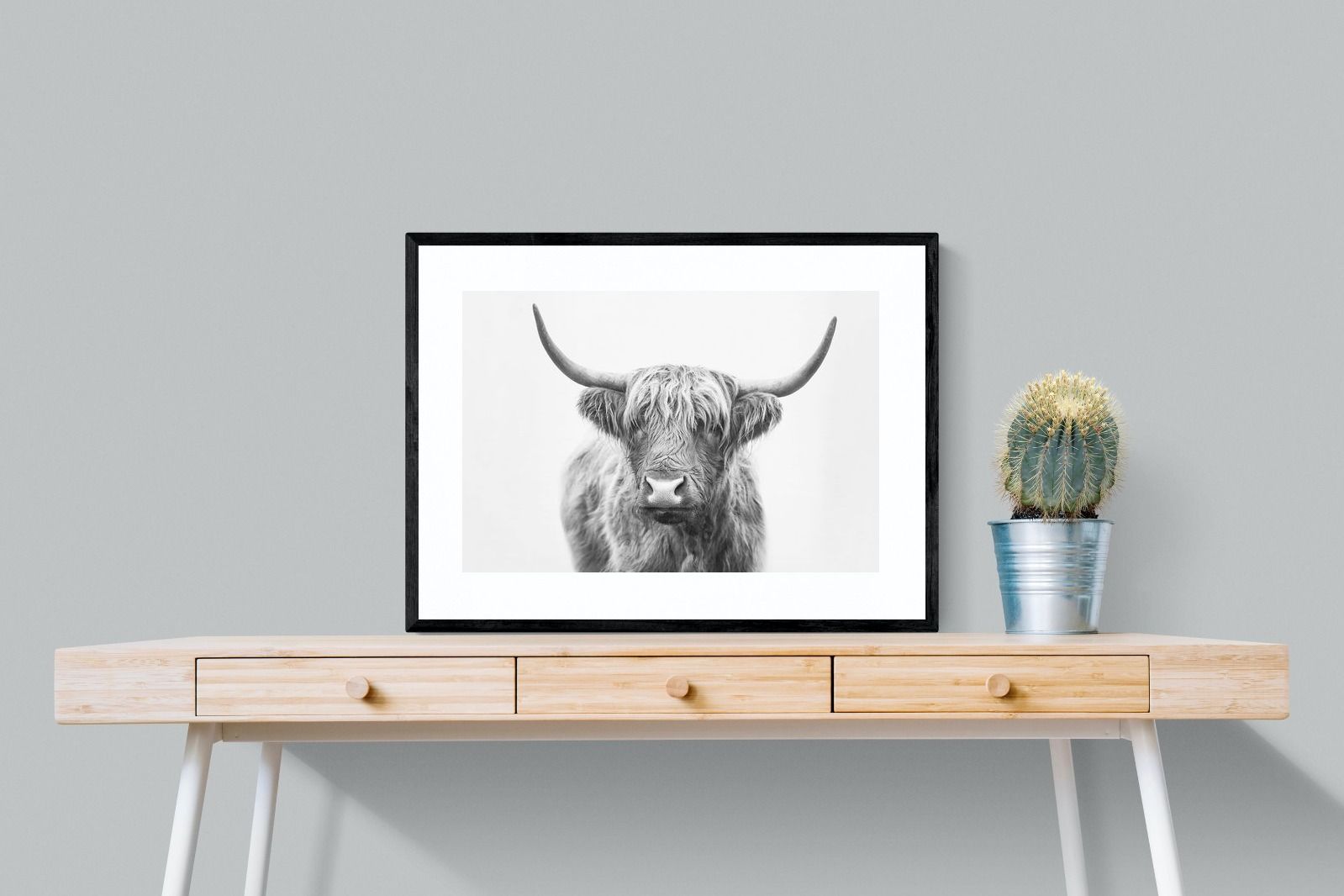 Pixalot Highland Bull