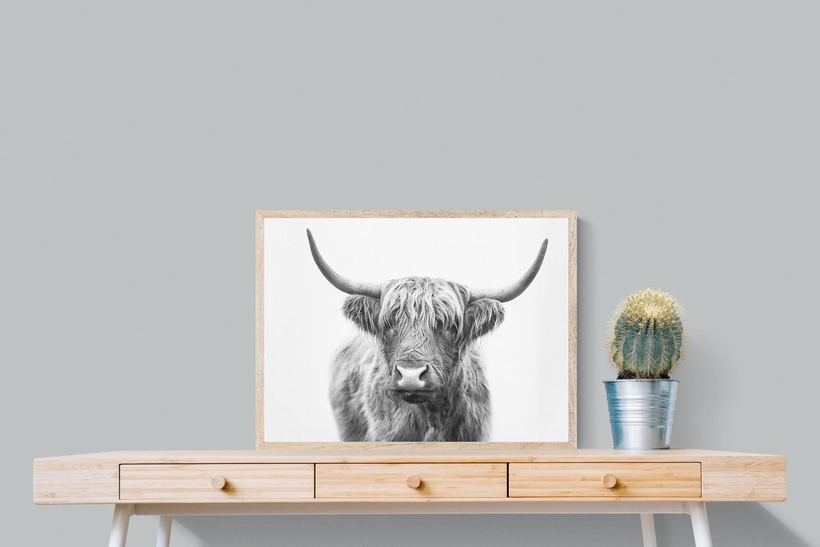 Pixalot Highland Bull