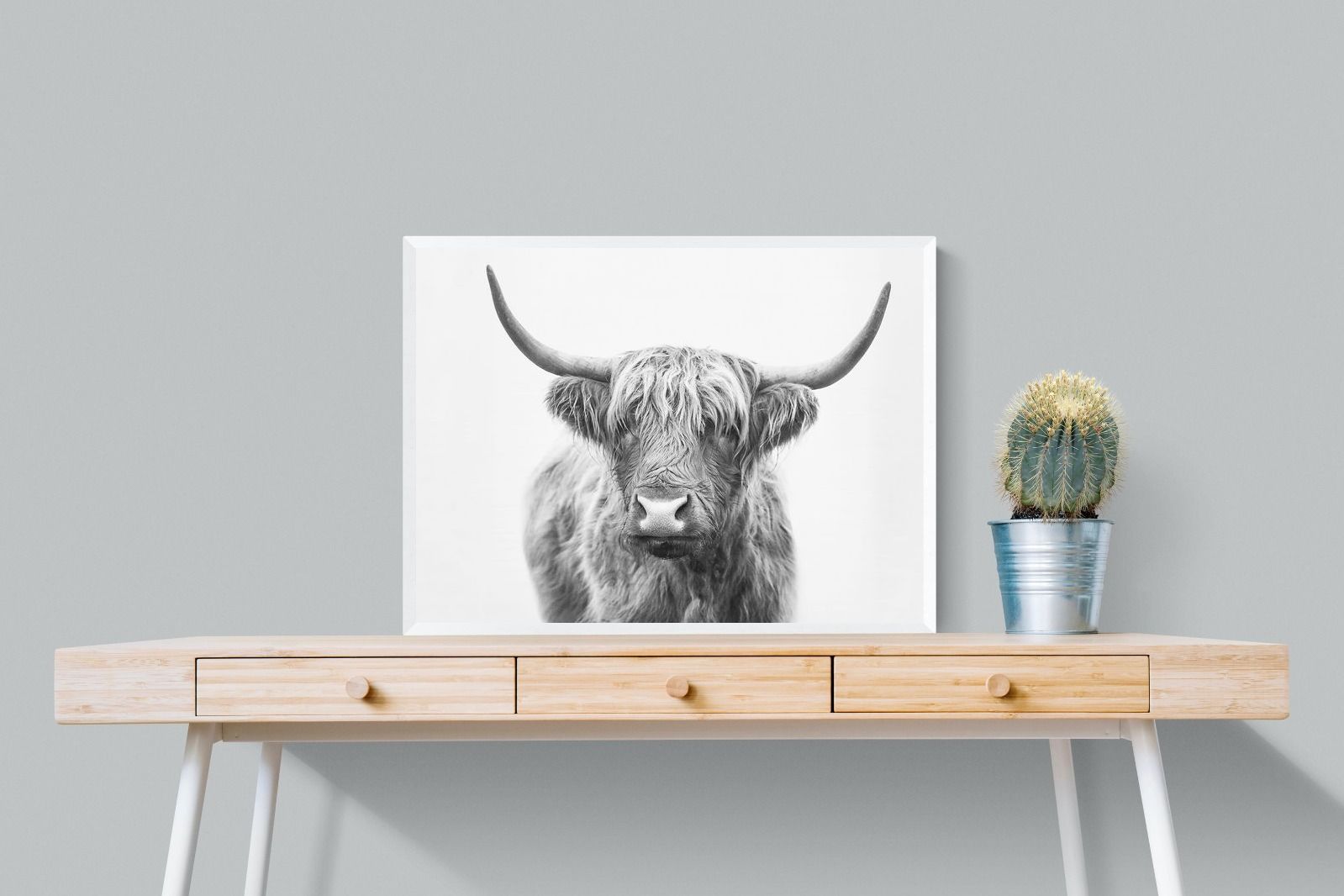 Pixalot Highland Bull