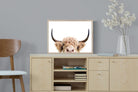 Pixalot Highland Peekaboo