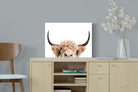 Pixalot Highland Peekaboo