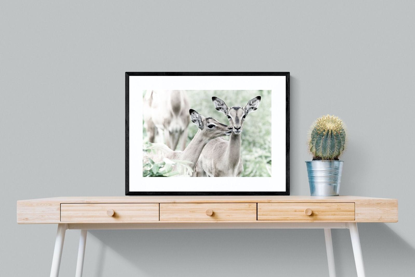 Impala Kisses-Wall_Art-80 x 60cm-Framed Print-Black-Pixalot