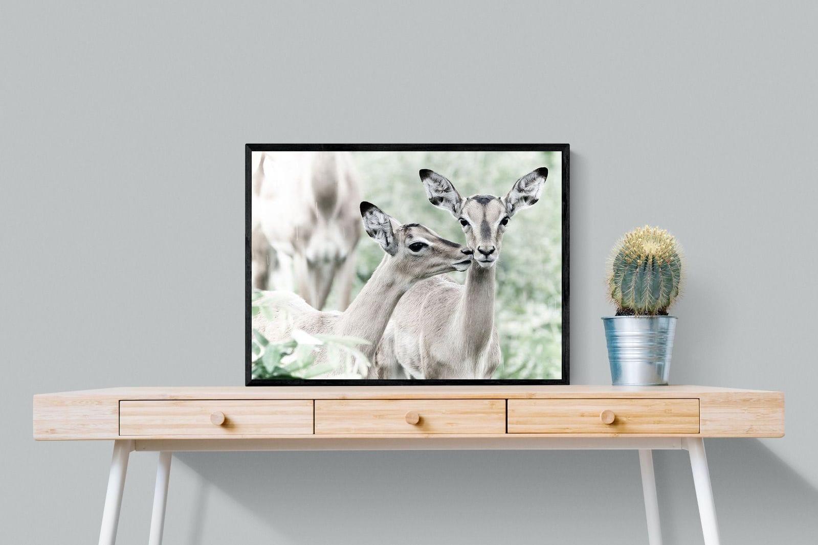 Impala Kisses-Wall_Art-80 x 60cm-Mounted Canvas-Black-Pixalot