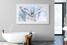 Jackal Buzzard-Wall_Art-180 x 110cm-Framed Print-White-Pixalot