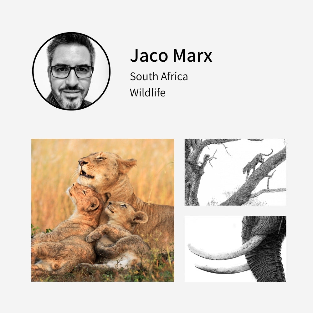 Jaco Marx Photography at Pixalot