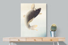Pixalot Jumping Carp