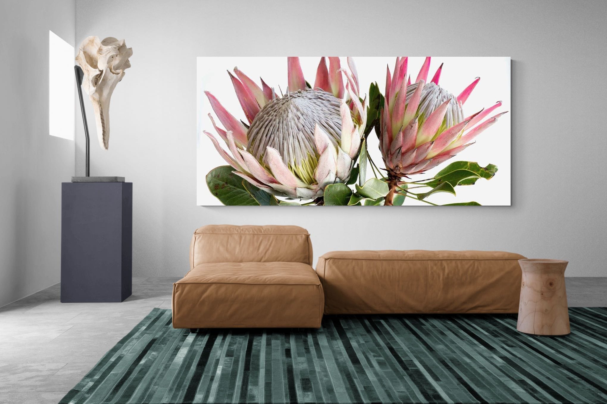 Pixalot King Proteas