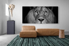 Pixalot King of the Jungle