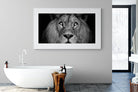King of the Jungle-Wall_Art-180 x 110cm-Framed Print-White-Pixalot