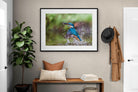 Pixalot Kingfisher Catch