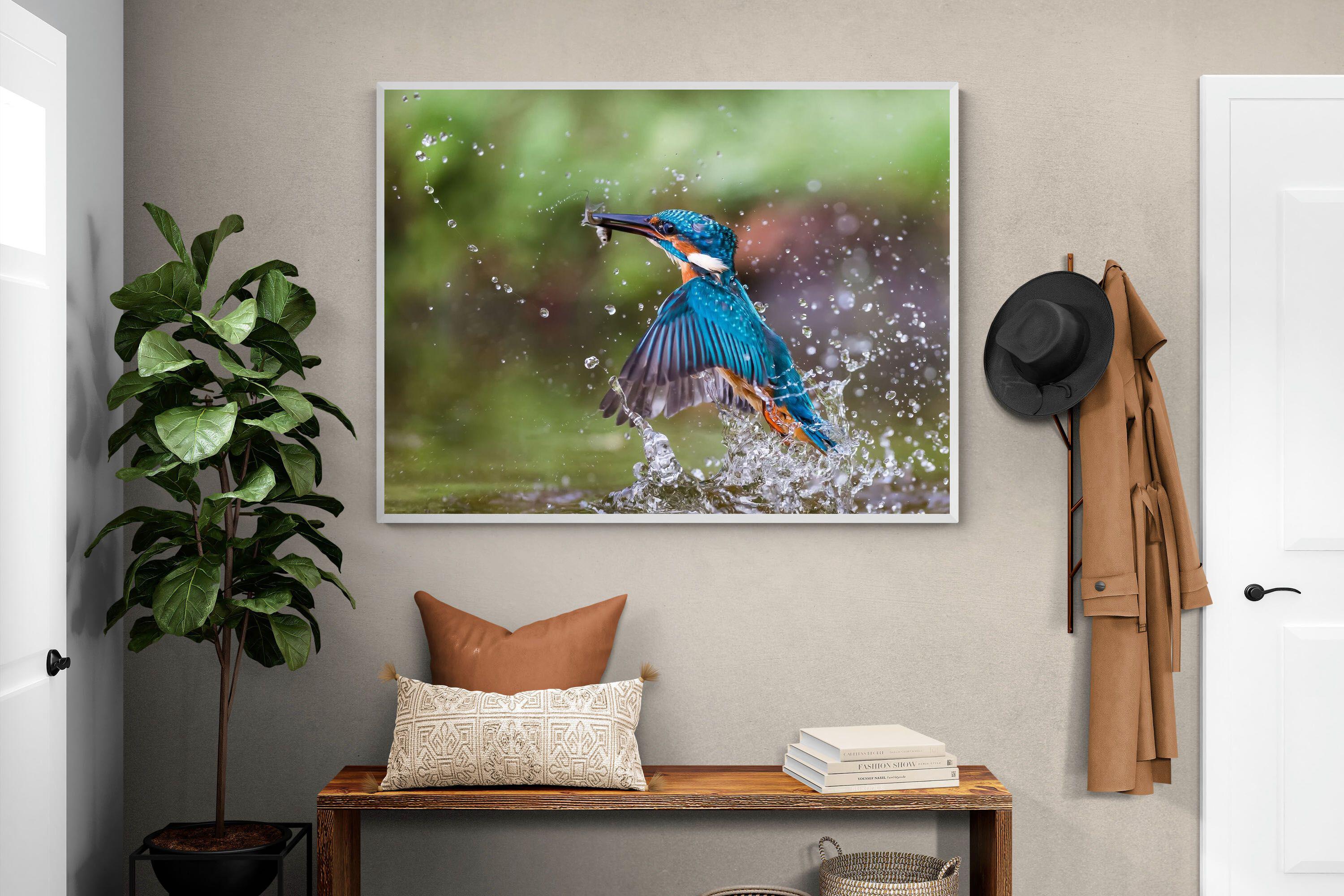 Pixalot Kingfisher Catch