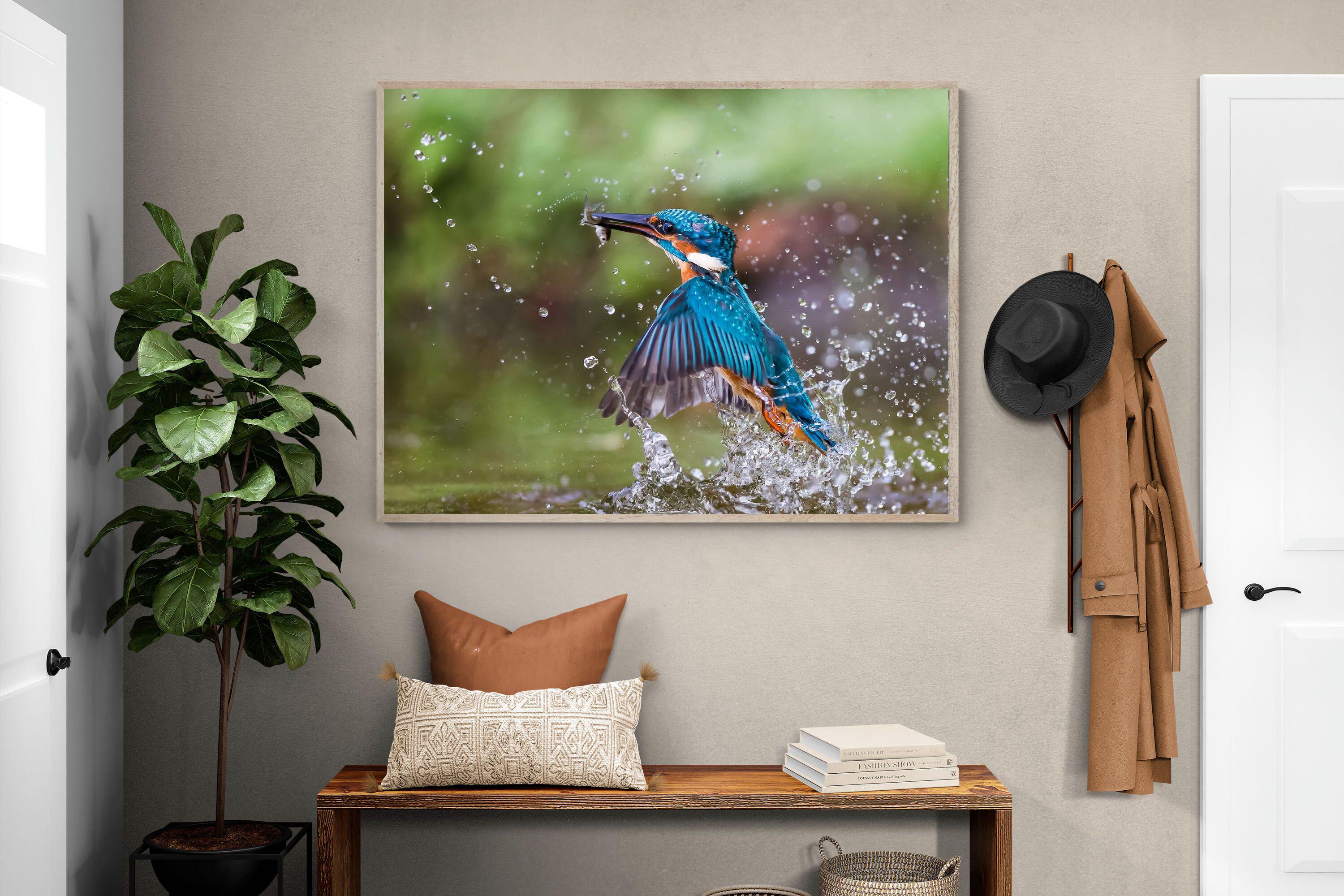 Pixalot Kingfisher Catch