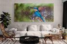 Pixalot Kingfisher Catch