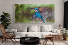 Pixalot Kingfisher Catch