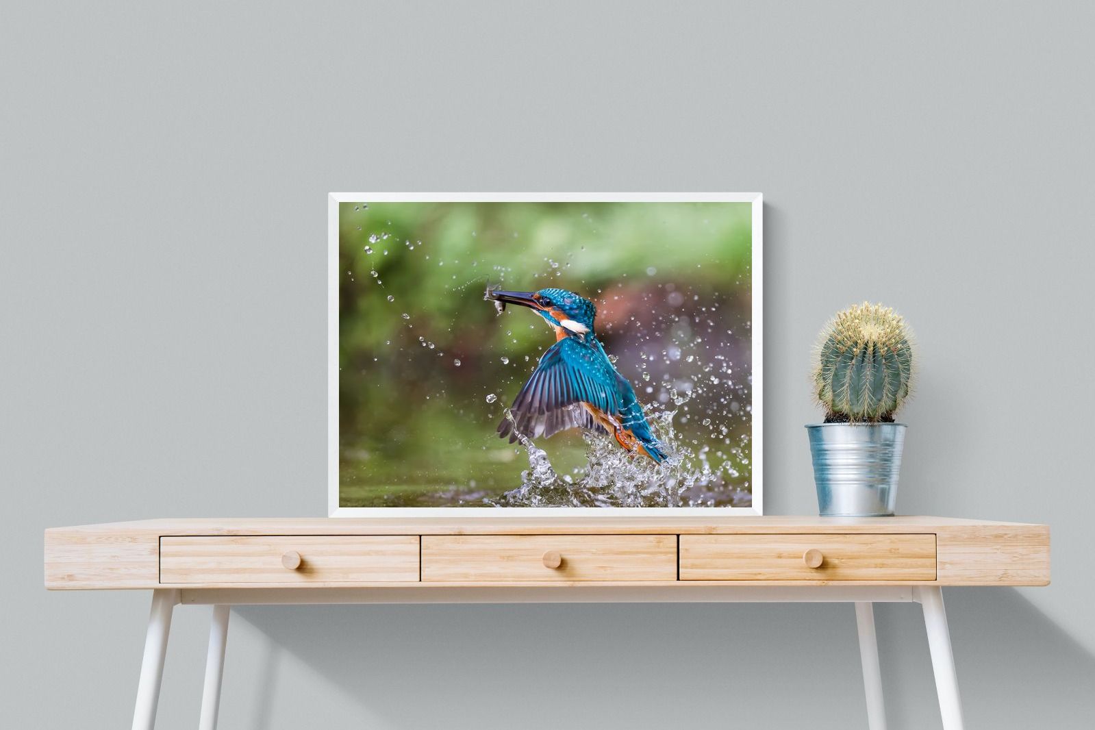 Pixalot Kingfisher Catch