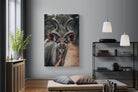 Pixalot Kudu