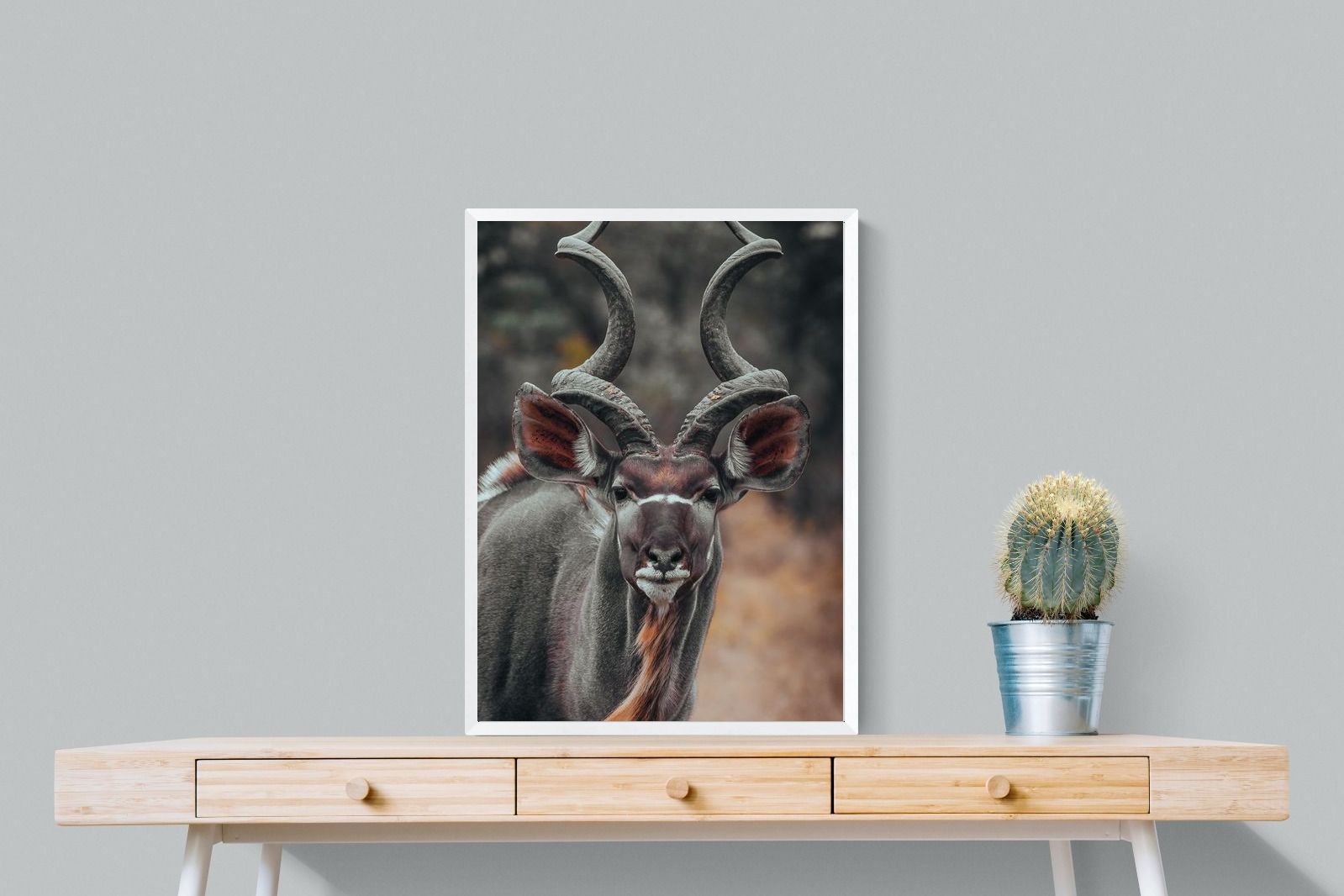 Pixalot Kudu